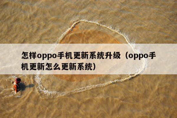 怎样oppo手机更新系统升级（oppo手机更新怎么更新系统）