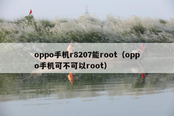 oppo手机r8207能root（oppo手机可不可以root）