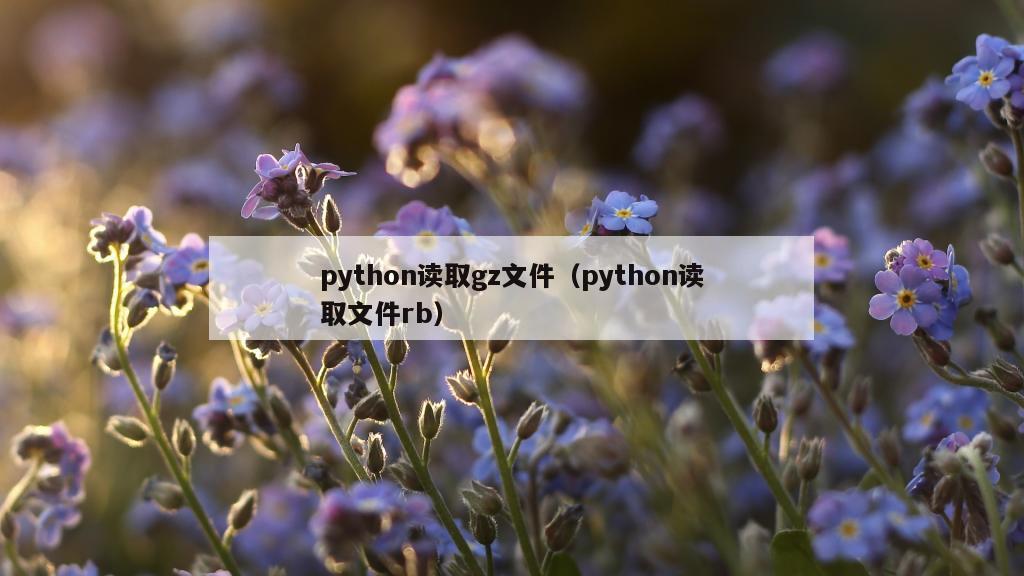 python读取gz文件（python读取文件rb）