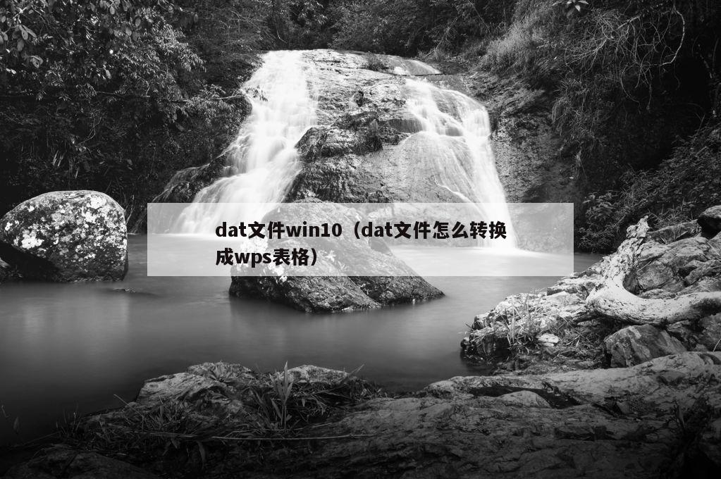 dat文件win10（dat文件怎么转换成wps表格）