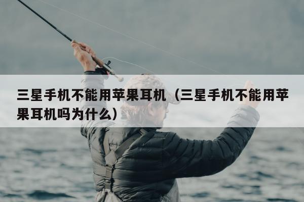 三星手机不能用苹果耳机（三星手机不能用苹果耳机吗为什么）