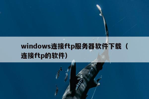 windows连接ftp服务器软件下载（连接ftp的软件）