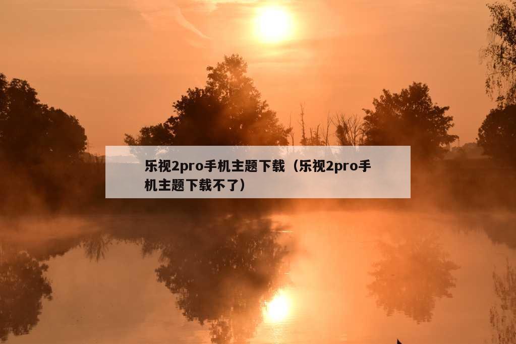 乐视2pro手机主题下载（乐视2pro手机主题下载不了）