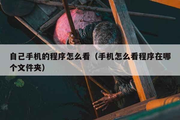 自己手机的程序怎么看（手机怎么看程序在哪个文件夹）