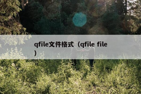 qfile文件格式（qfile file）