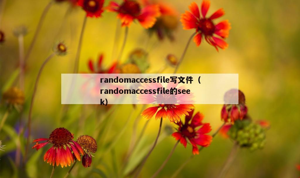 randomaccessfile写文件（randomaccessfile的seek）