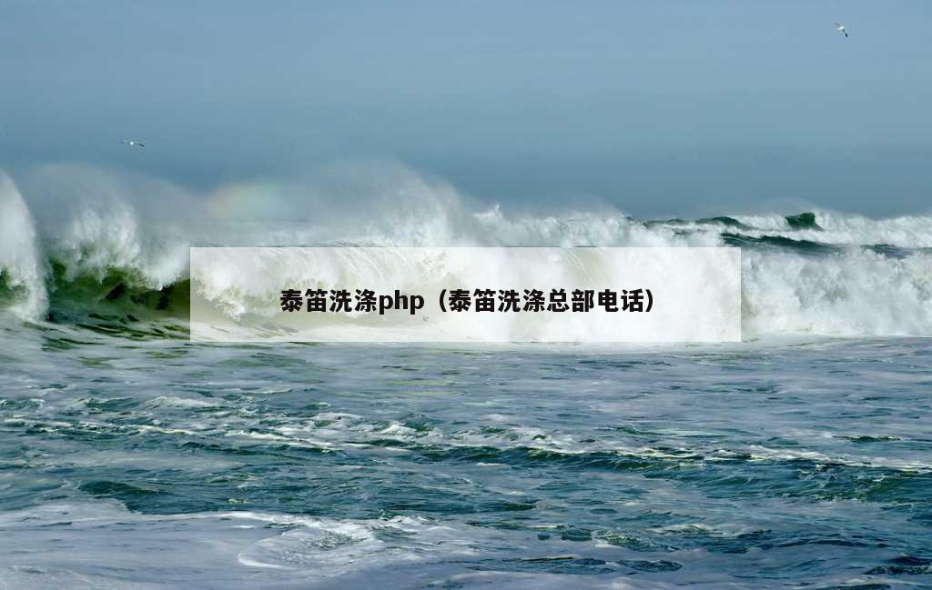 泰笛洗涤php（泰笛洗涤总部电话）