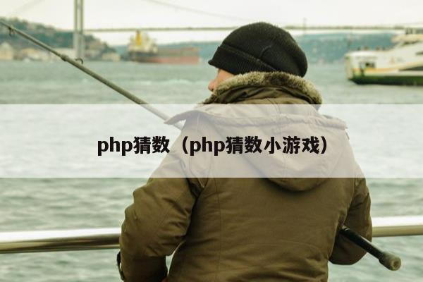 php猜数（php猜数小游戏）