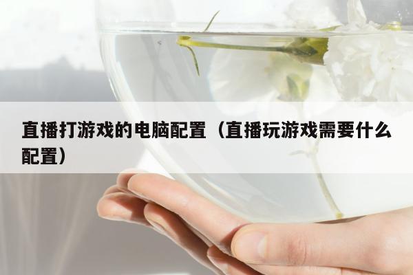 直播打游戏的电脑配置（直播玩游戏需要什么配置）