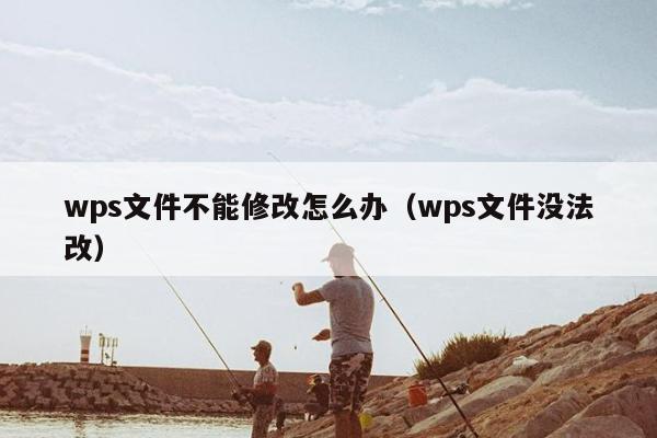 wps文件不能修改怎么办（wps文件没法改）