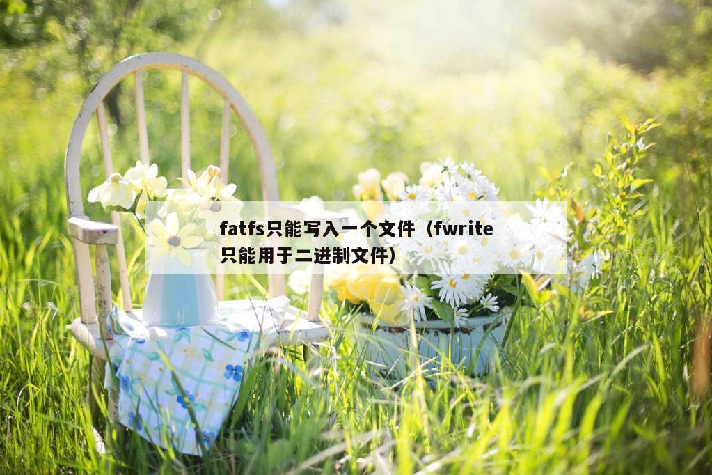 fatfs只能写入一个文件（fwrite只能用于二进制文件）