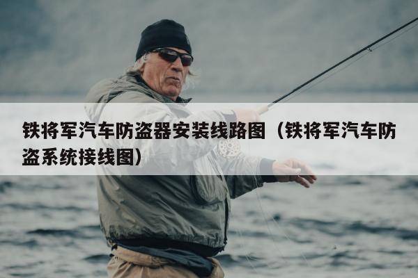 铁将军汽车防盗器安装线路图（铁将军汽车防盗系统接线图）