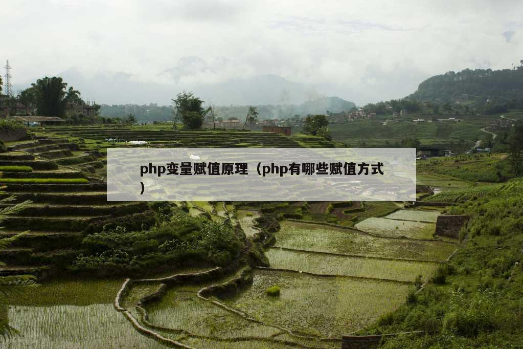 php变量赋值原理（php有哪些赋值方式）