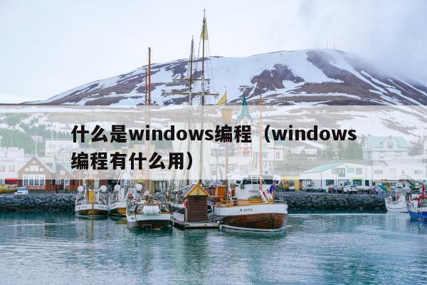 什么是windows编程（windows编程有什么用）