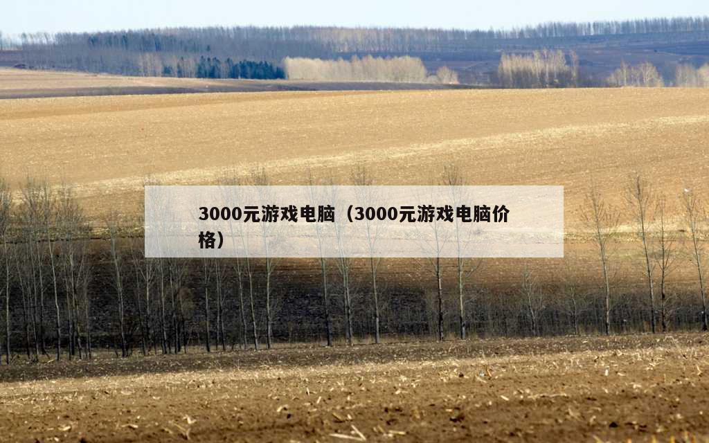 3000元游戏电脑（3000元游戏电脑价格）