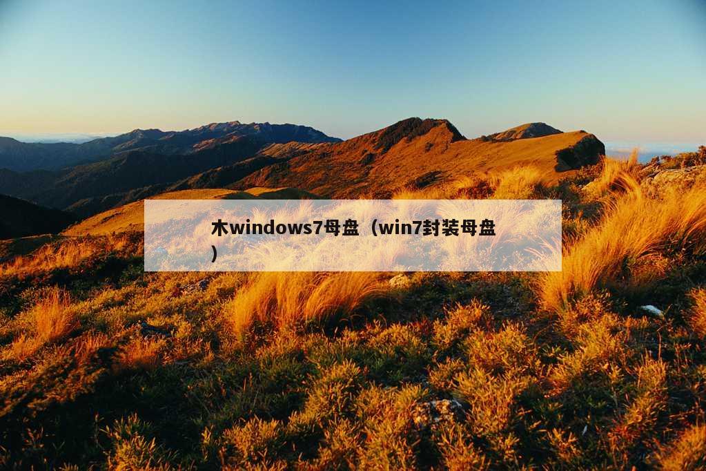 木windows7母盘（win7封装母盘）