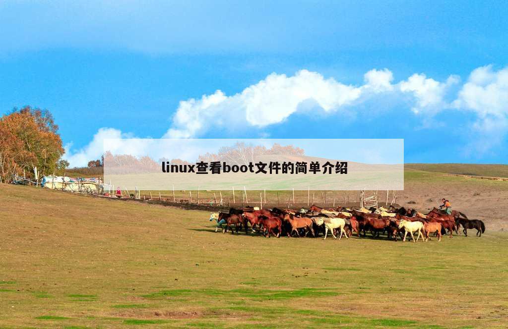 linux查看boot文件的简单介绍