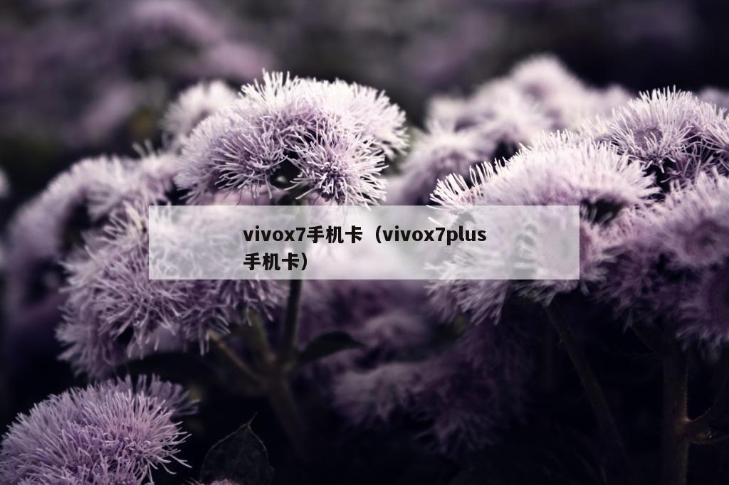 vivox7手机卡（vivox7plus手机卡）