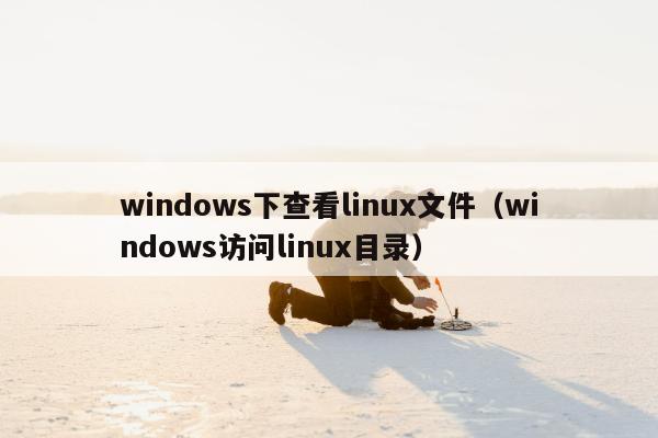 windows下查看linux文件（windows访问linux目录）