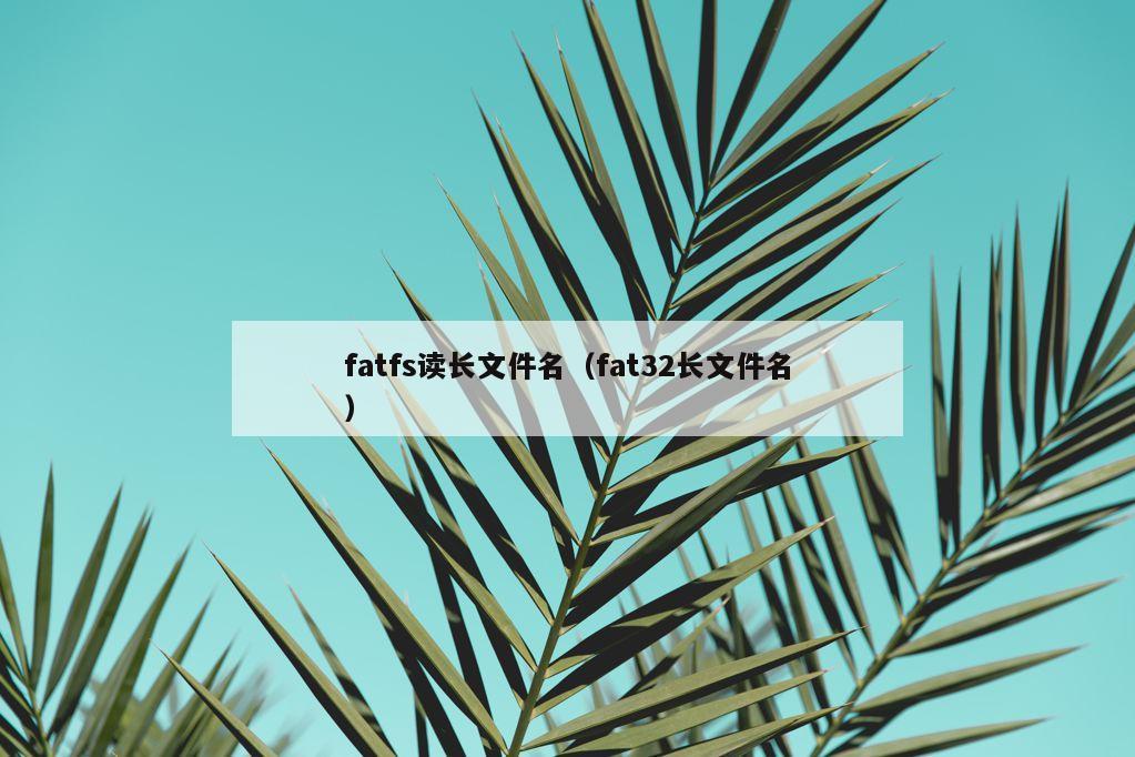 fatfs读长文件名（fat32长文件名）