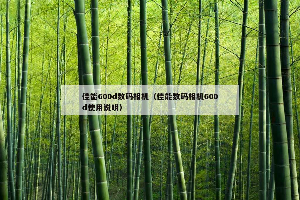 佳能600d数码相机（佳能数码相机600d使用说明）