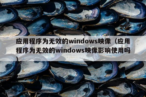 应用程序为无效的windows映像（应用程序为无效的windows映像影响使用吗）