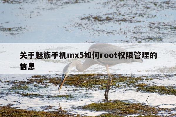 关于魅族手机mx5如何root权限管理的信息