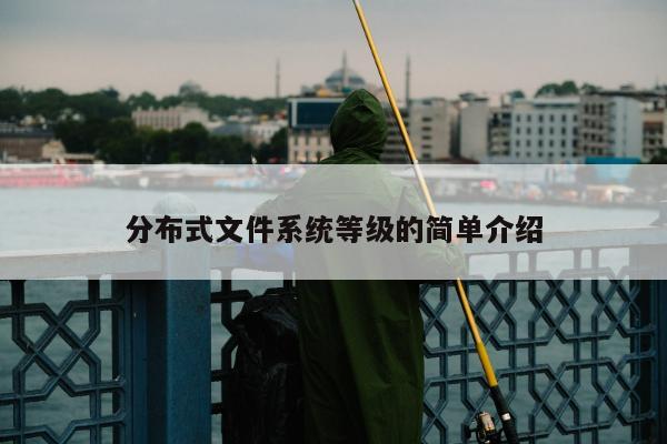 分布式文件系统等级的简单介绍