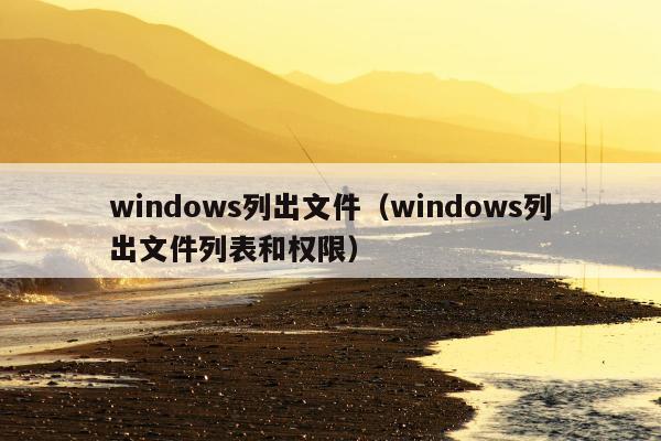 windows列出文件（windows列出文件列表和权限）