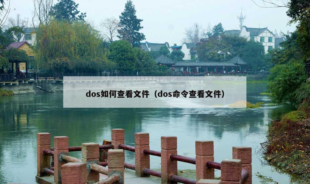 dos如何查看文件（dos命令查看文件）