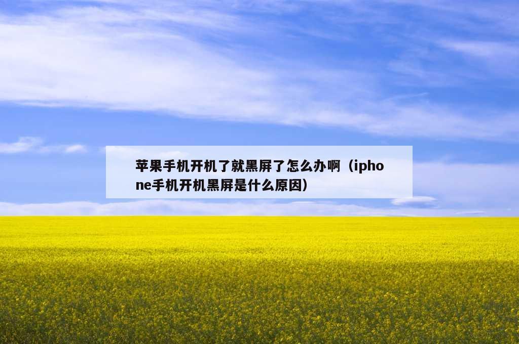 苹果手机开机了就黑屏了怎么办啊（iphone手机开机黑屏是什么原因）