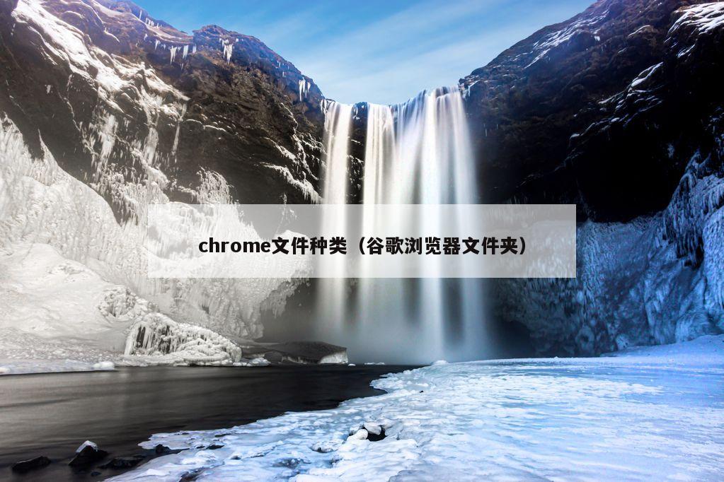 chrome文件种类（谷歌浏览器文件夹）