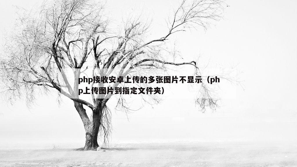 php接收安卓上传的多张图片不显示（php上传图片到指定文件夹）