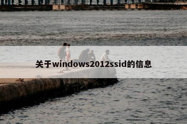 关于windows2012ssid的信息