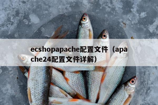 ecshopapache配置文件（apache24配置文件详解）