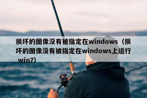 损坏的图像没有被指定在windows（损坏的图像没有被指定在windows上运行 win7）