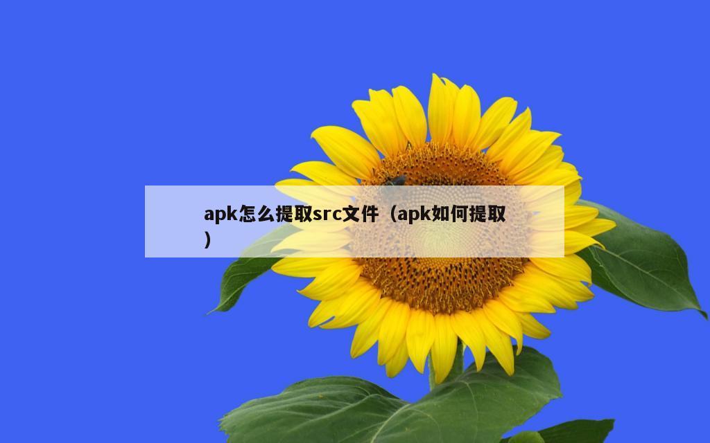 apk怎么提取src文件（apk如何提取）