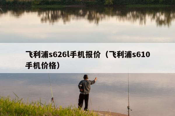 飞利浦s626l手机报价（飞利浦s610手机价格）