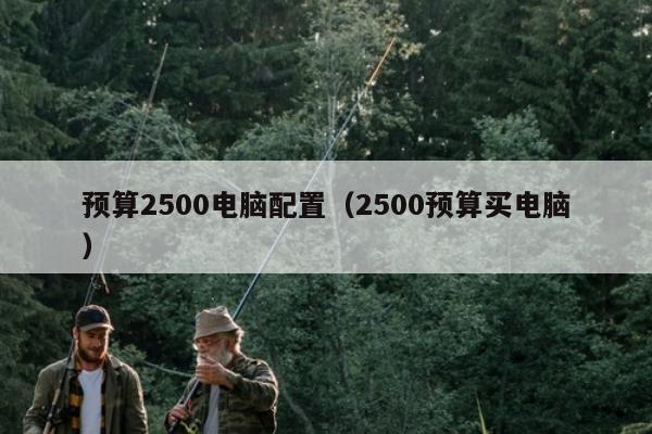 预算2500电脑配置（2500预算买电脑）