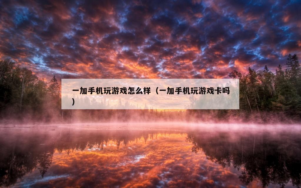 一加手机玩游戏怎么样（一加手机玩游戏卡吗）