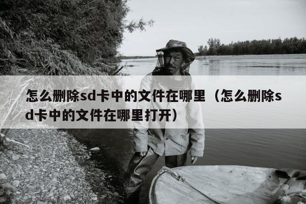 怎么删除sd卡中的文件在哪里（怎么删除sd卡中的文件在哪里打开）