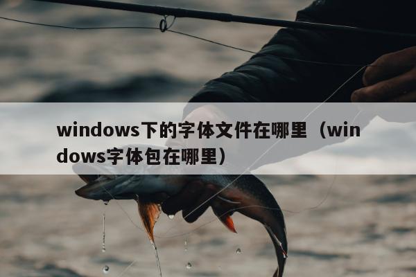 windows下的字体文件在哪里（windows字体包在哪里）