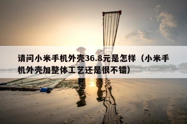 请问小米手机外壳36.8元是怎样（小米手机外壳加整体工艺还是很不错）