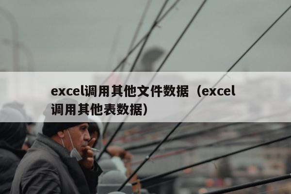 excel调用其他文件数据（excel 调用其他表数据）