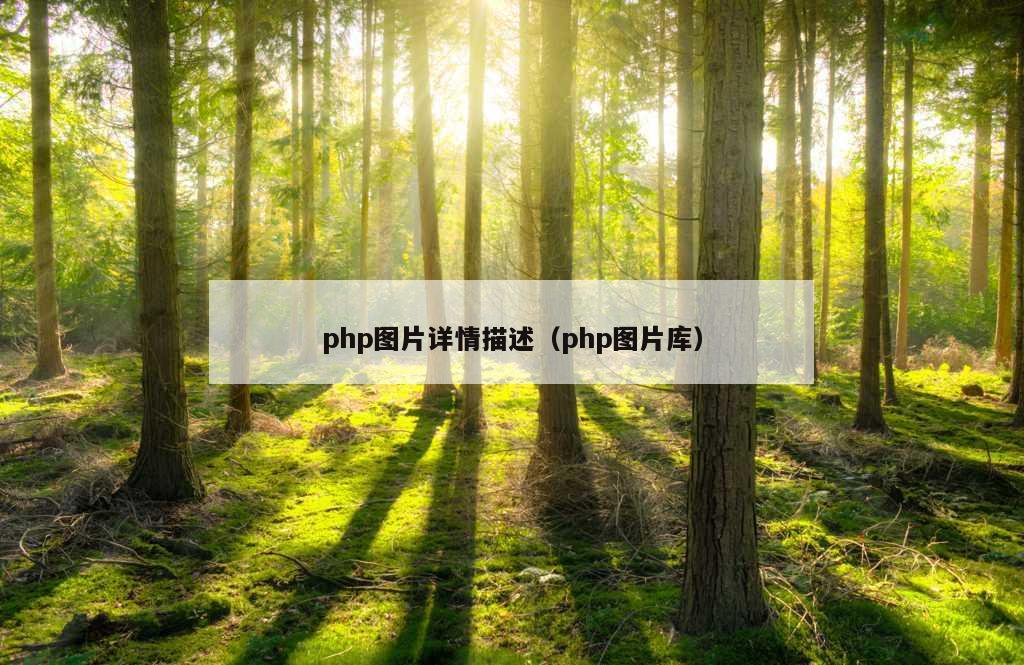 php图片详情描述（php图片库）