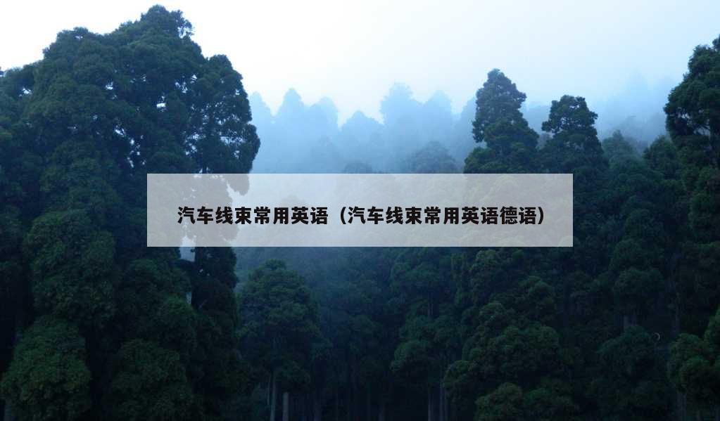 汽车线束常用英语（汽车线束常用英语德语）