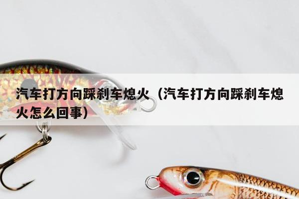 汽车打方向踩刹车熄火（汽车打方向踩刹车熄火怎么回事）