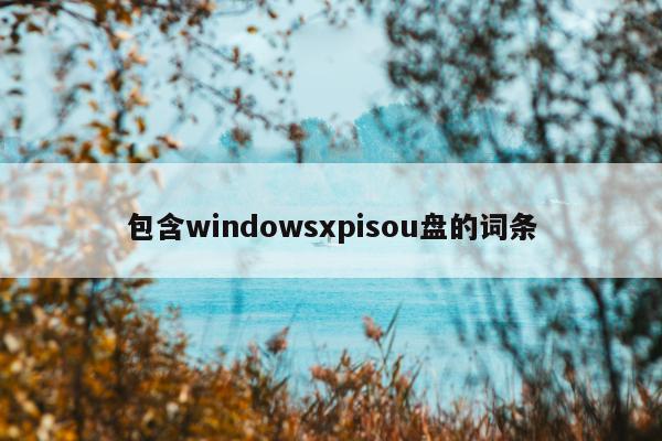 包含windowsxpisou盘的词条