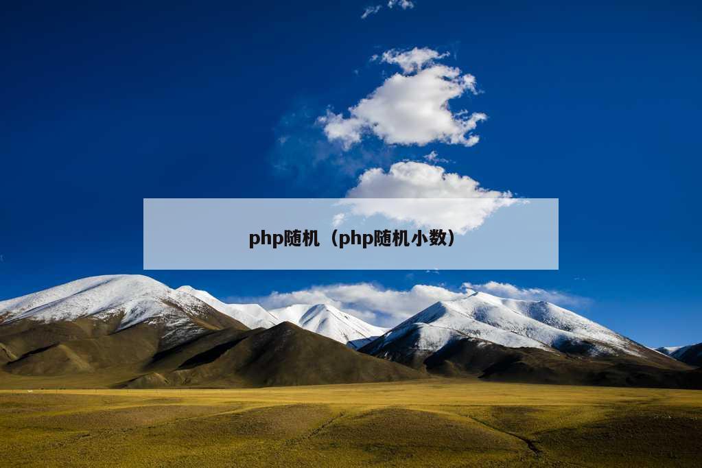 php随机（php随机小数）