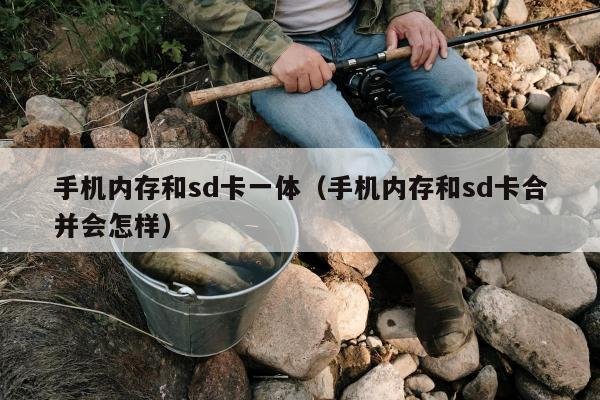 手机内存和sd卡一体（手机内存和sd卡合并会怎样）